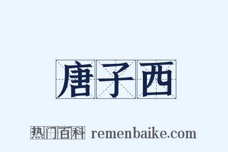 唐子西是什么意思的图片